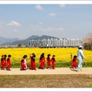 고향에봄 이미지