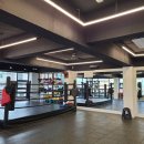 한국체대 복싱 이미지