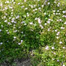 고려동유적지 이미지