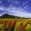 황산체육공원 이미지