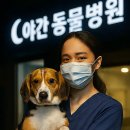 24시 명동물메디컬센터 | 야간동물병원24시 지역별 병원찾기_서울외 검색많은 지역 추가