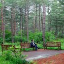 반딧불이 생태학교 이미지