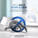 영화에코블루