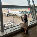 658 | 인천 방콕 타이항공 TG659 TG658 좌석지정 체크인 기내식 등 후기