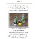 반려식물 - 문경시 당교12길 5-17 | 반려식물