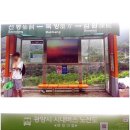 더자연펜션 이미지