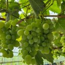 무너미농장 이미지