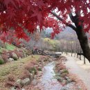 (경기도여행/용인여행)용인자연휴양림 짚라인. 하늘을 나는 자유를 느끼고 싶다면 누구나 도전 도전 용인자연휴양림 짚라인. 이미지