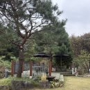 달카페&레스토랑 | [이지 카페(ez cafe)] 용인 갈담저수지 이탈리안 카페 &amp; 레스토랑 후기