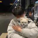 멍블멍블 이미지