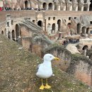 인간분수 | 25.01.07-01.23 유럽여행기3(고대 로마 투어, 트레비 분수)