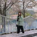 봄날처럼 민박 이미지