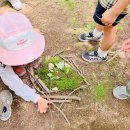 다우림명문유치원 이미지