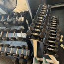 임팩트 화원점 이미지