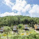 빛마루농장 이미지