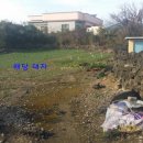 제주대지공인중개사사무소 이미지