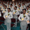 안녕 나이팅게일 이미지