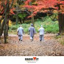 가을 카카오 검색결과