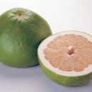포멜로(POMELO)