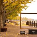 은행1공영주차장 이미지