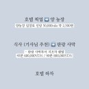 초원포도원 | 베트남 나트랑 프라이빗 판랑 사막투어 현지업체 추천 hoa driver 내돈내산