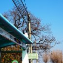 백학1리경로당 이미지