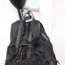 수원-0861 Daum카페