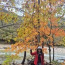 우면산 (소망탑 깔딱고개) | 봉정암