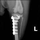 아이튼튼 동물병원 이미지