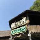 용인 주민의 특권 주말 에버랜드 다녀온 일상 : 산리오 테마파크 퍼레이드, 로로티 사막여우 장미정원 등등