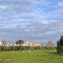 (주)그린청명 이미지