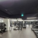 운동생활 | 드디어 찾았다! 내 인생 PT, 호계동 헬스장 '운동생활 헬스&PT 안양호계점' 솔직 후기