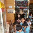 시장게임랜드 이미지