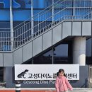 다이노 미디어 이미지
