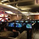 라이온 pc 이미지