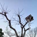 석교초교 이미지