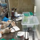 새순2농장 이미지