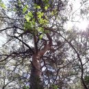 바우길 15구간 이미지