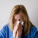 알레그라 이미지