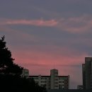 다인아우토 | 💭