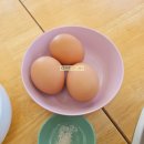 동강일품국수 | 강원 영월읍 '동강일품국수' 짧은 후기 (내돈내산/영월군맛집/영월맛집/영월초계막국수/영월막국수)
