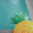 엘핀키즈풀빌라 이미지