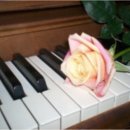 건반 위의 꿈 이미지