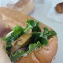 서산팜스 이미지