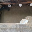 효자1동 경로당 이미지