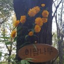 공인씨엠번역행정사 사무소 네이버블로그