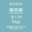 김쌤음악학원 | 월드SM과 함께 음악 학원의 새로운 가능성을 열어보세요! 음악 학원 홍보대행, 음악 학원 원생 모집...