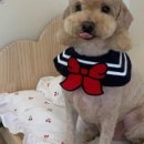 헤이제니 이미지