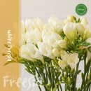 원일농장 이미지