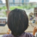 동백미장원 이미지